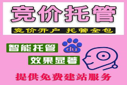 提升广告效果：SEM推广优化的五大成功案例